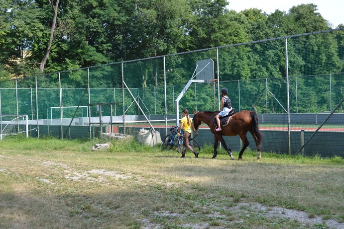 Foto - oslavy