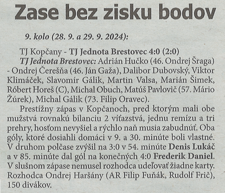 článok z novín