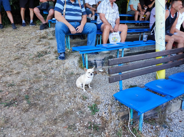 foto zo zápasu