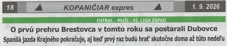 článok z novín